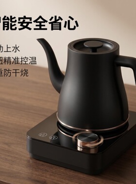 纯钛电水壶自动上水电茶壶