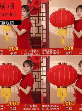 灯笼新款2026年新款大红色植绒灯笼大门口一对挂饰2026马年喜庆户