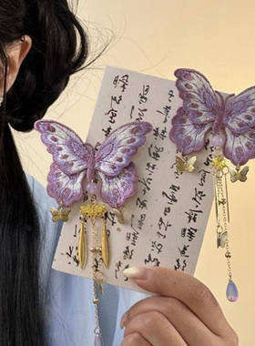 紫色刺绣蝴蝶流苏古风汉服边夹