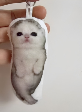 piupiupiu小猫语音玩偶挂件可爱