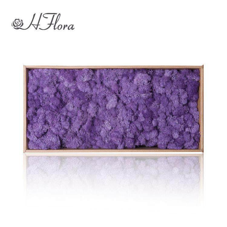 永生花驯鹿苔藓景观造景块状苔藓酒店装饰公司背景墙青苔DIY材料,淘宝优惠券,粉丝福利购,淘宝优惠卷