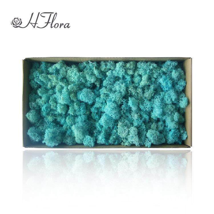 永生花驯鹿苔藓景观造景块状苔藓酒店装饰公司背景墙青苔DIY材料,淘宝优惠券,粉丝福利购,淘宝优惠卷