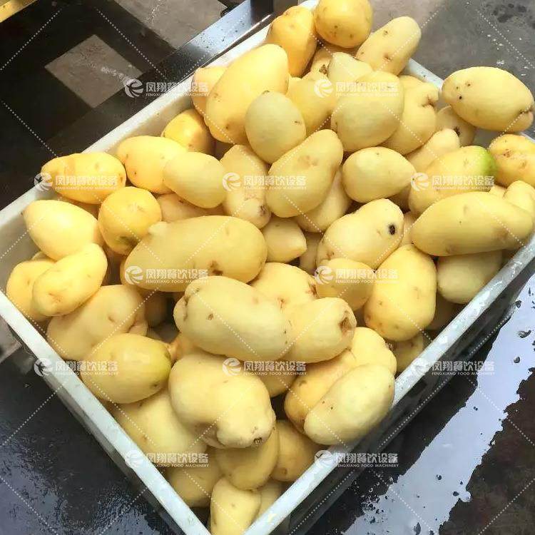 多功能毛辊清洗去泥机木薯毛刷机海蛎子扇贝猪蹄毛辊清洗设备,淘宝优惠券,粉丝福利购,淘宝优惠卷