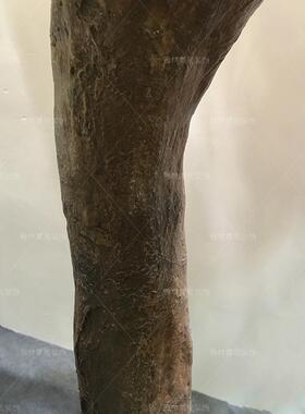 款网红色仿真爆AL750433树大型室内仿真绿植物榕树 商场店假树落