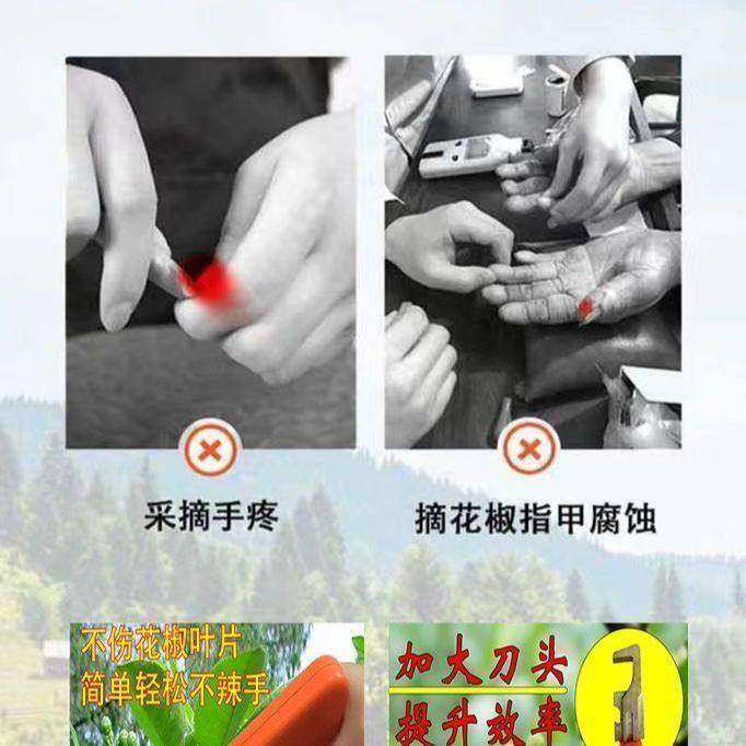 剪花椒神器2025花椒采摘神器剪子花椒枪农用采摘多功能采果锋利防,淘宝优惠券,粉丝福利购,淘宝优惠卷