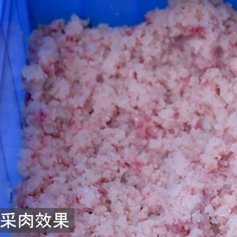鱼丸采肉机鱼虾蟹采肉机鲅鱼黄花鱼采肉机淡水鱼采肉机去鱼刺鱼骨 - 图1