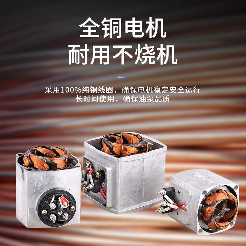 机床冷却泵油泵电泵AB DB JCB小型220V单相380V三相线 线线 线切 - 图2