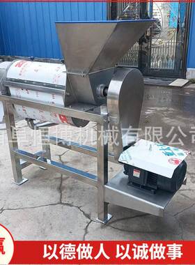 大工型业果蔬榨汁机 商用刺恒博梨苹果榨沙汁机 多功面能棘果榨汁