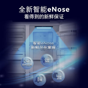 西门子637L双开门家用冰箱智能对开门变频风冷一级能效KA99VA620C