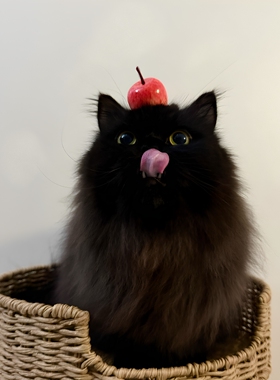 苹果小咪~仿真苹果猫咪发夹头饰