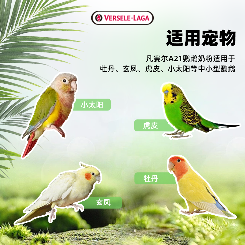 [比利时原装]凡赛尔A21鹦鹉奶粉牡丹玄凤小太阳幼鸟专用进口正品,淘宝优惠券,粉丝福利购,淘宝优惠卷