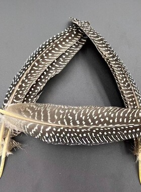 厂家直销现货珍珠窝翎芦花窝翎母