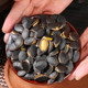 Qianqingshan Black King Kong Pumpkin Seeds 258g can new arrival