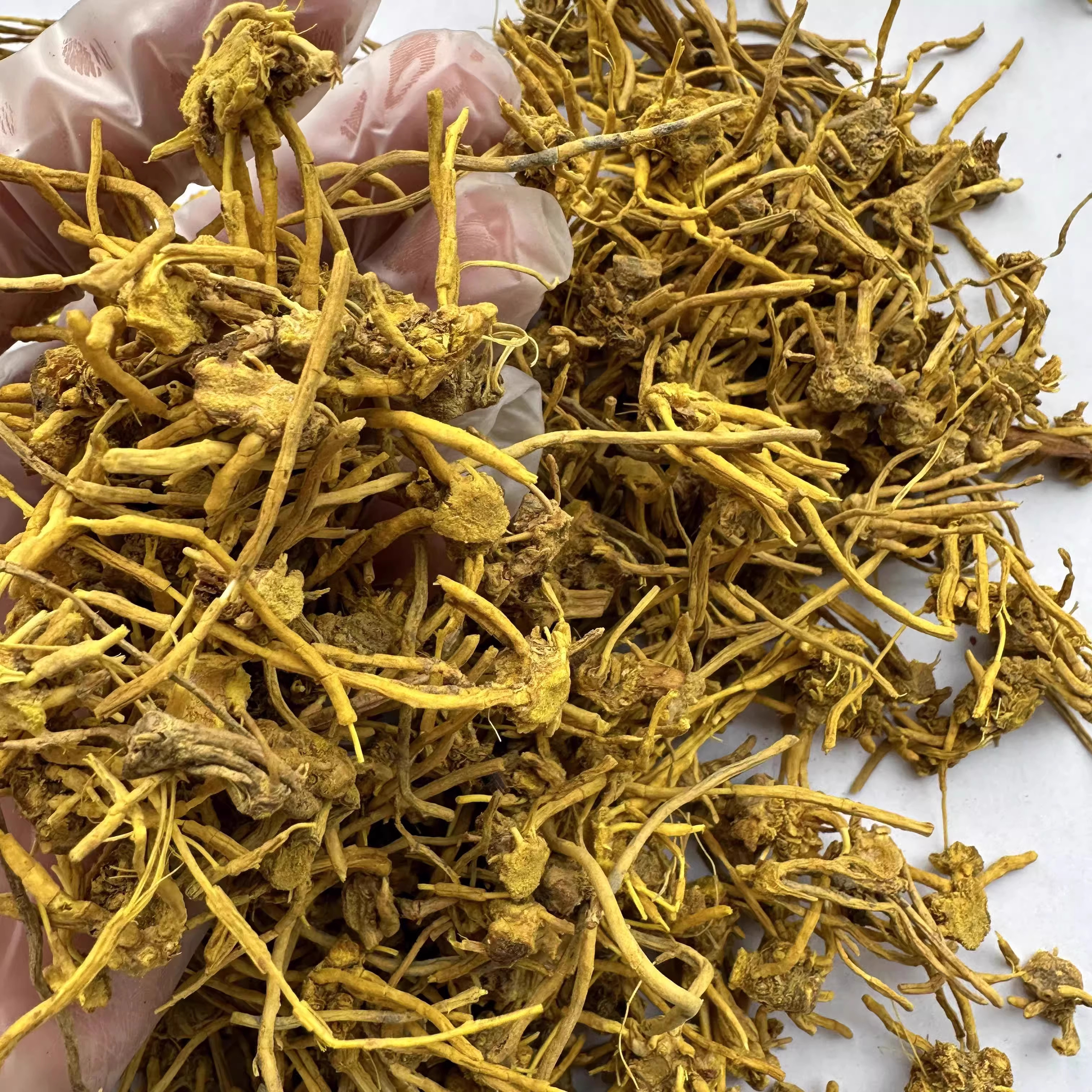 金龙根中药材正宗特级黄龙草根金龙石斛青藏高原雪山雪灵茶龙须草,淘宝优惠券,粉丝福利购,淘宝优惠卷