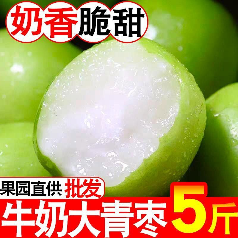 正宗牛奶大青枣奶香青枣水果整箱新鲜冬枣大果青枣脆甜孕妇苹果枣,淘宝优惠券,粉丝福利购,淘宝优惠卷