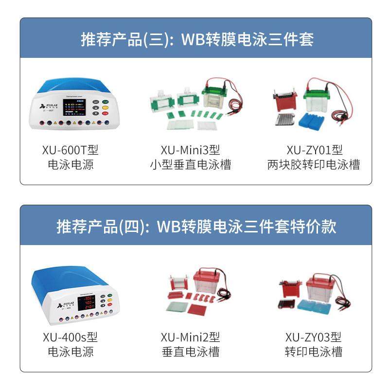 科技电泳仪小型垂直水平电泳槽电源凝胶转印槽蛋白槽实验室用,淘宝优惠券,粉丝福利购,淘宝优惠卷
