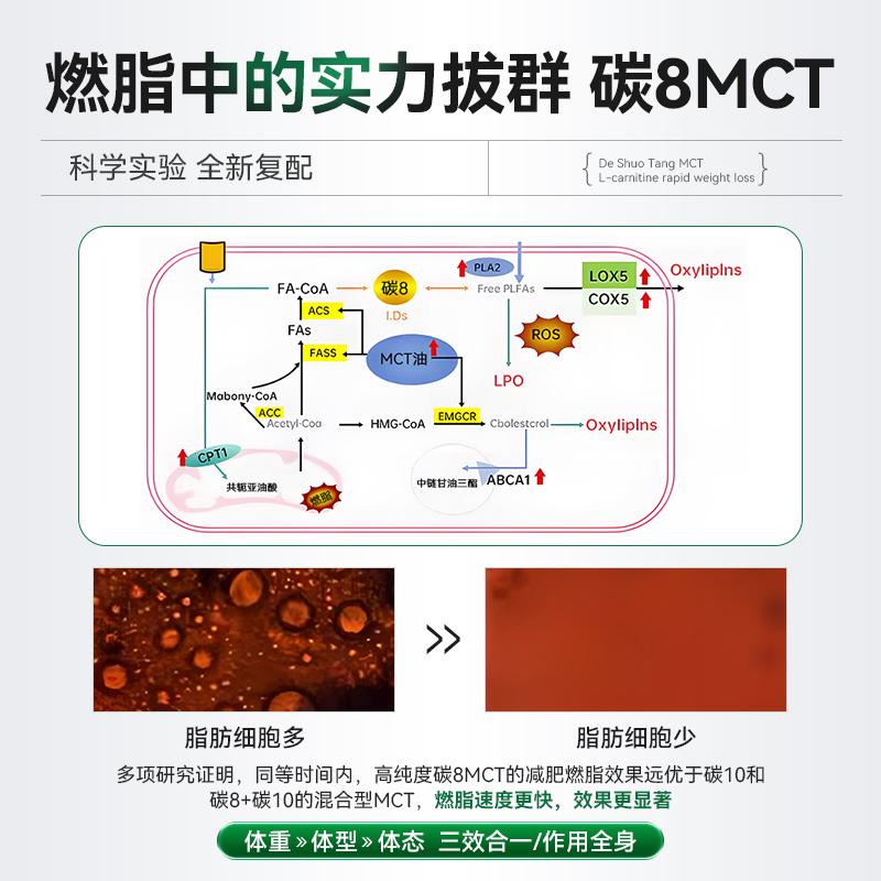 德硕堂MCT复合片中链甘油三酯碳8MCT快速入酮控糖饱腹身材管理 - 图1