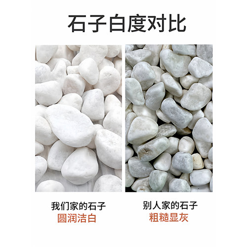 石子原石铺路花园白色装饰白石子庭院大小石子石头造景碎石鹅卵石 - 图1