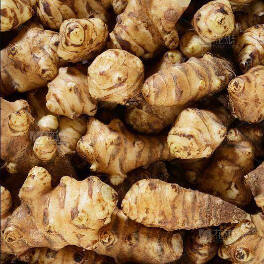 工厂直销果蔬破碎机胡萝卜南瓜破碎打浆土豆红薯打泥设,淘宝优惠券,粉丝福利购,淘宝优惠卷