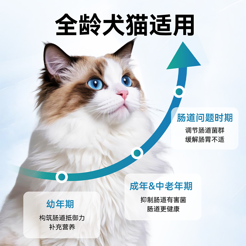 狗狗用猫咪用益生菌呵护肠道品质保障
