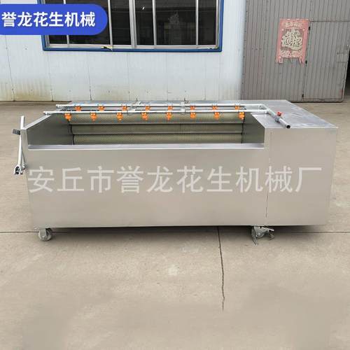 萝卜红薯土豆毛辊全自动清洗机芋头大姜去泥去皮U型毛辊清洗机 - 图1