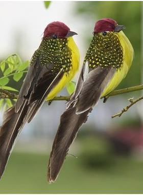 彷真小鸟小麻雀夹子款泡沫羽毛假鸟模型田园庭院美式盆景装饰摆饰