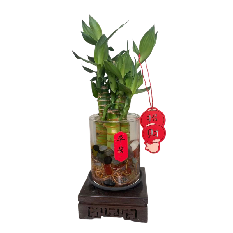 图5