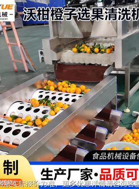 定制全自动生苹果清洗机产线水果清洗机光打机百抛香蜡果洗800型