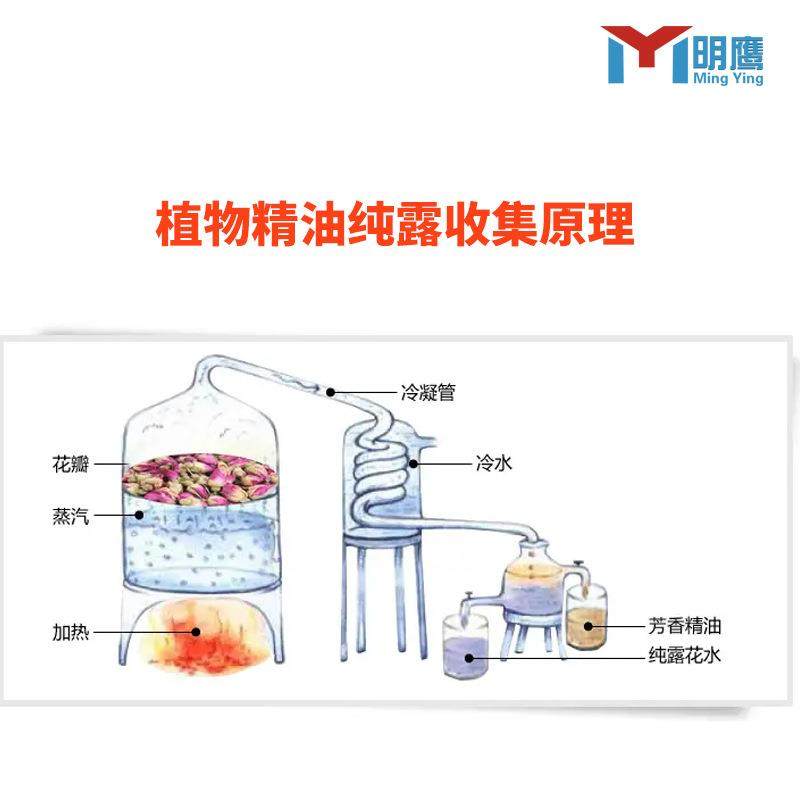 精油纯露提取机多功能精油纯露提取设备花草类植物精油纯露提,淘宝优惠券,粉丝福利购,淘宝优惠卷