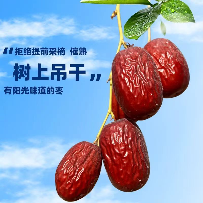 【新疆红枣】500g*2包和田特产红枣煲汤煮茶枣子红枣免洗若羌红枣