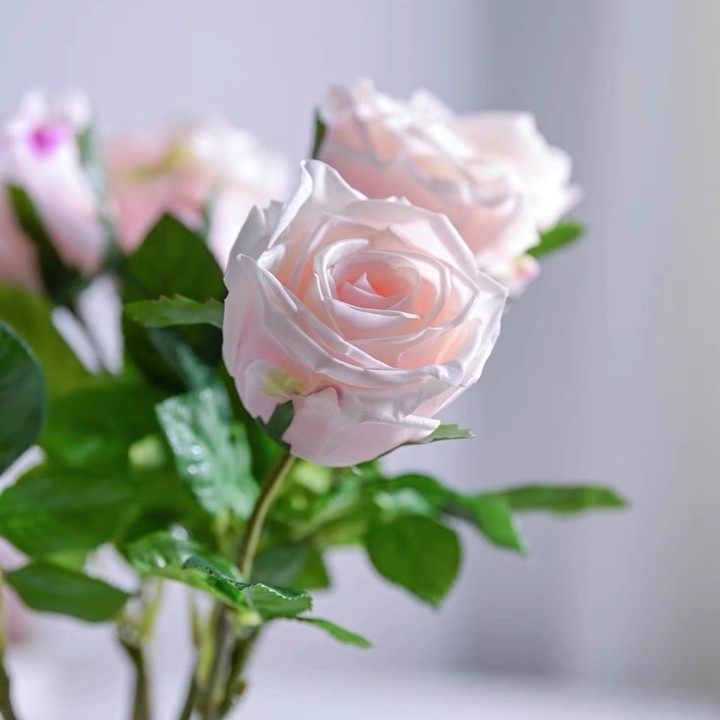 欧月保湿玫瑰花装饰花卉仿真花高档客厅电视柜餐桌塑料花假花摆设,淘宝优惠券,粉丝福利购,淘宝优惠卷