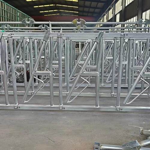 单开活位牛颈枷双开牛颈夹6米8位自锁牛颈夹牛场设备饲料全自动 - 图0