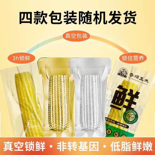 2026刘老杆东北黄糯玉米新鲜软糯香甜黄粘黏苞米真空装早餐玉米棒-图0