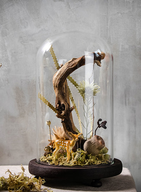 手工植物干花永生花微景观玻璃罩家居装饰品节日乔迁搬家