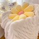 Preferred season Milk white rabbit plush blanket Princess blanket Warm blanket Living room sofa V leisure blanket Bed end cover,