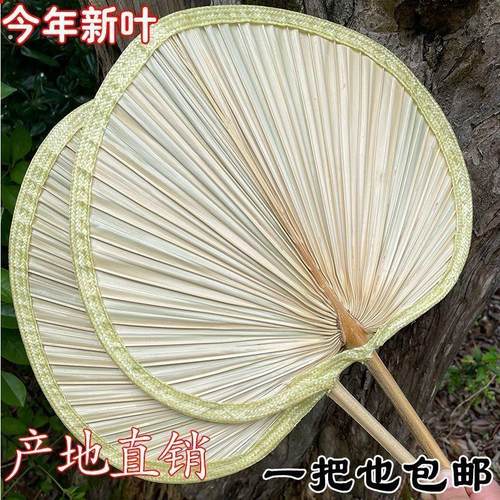 扇子大芭蕉扇子老式家用济公扇葵扇新款蒲扇夏季舞蹈烧烤扇蒲草扇 - 图2