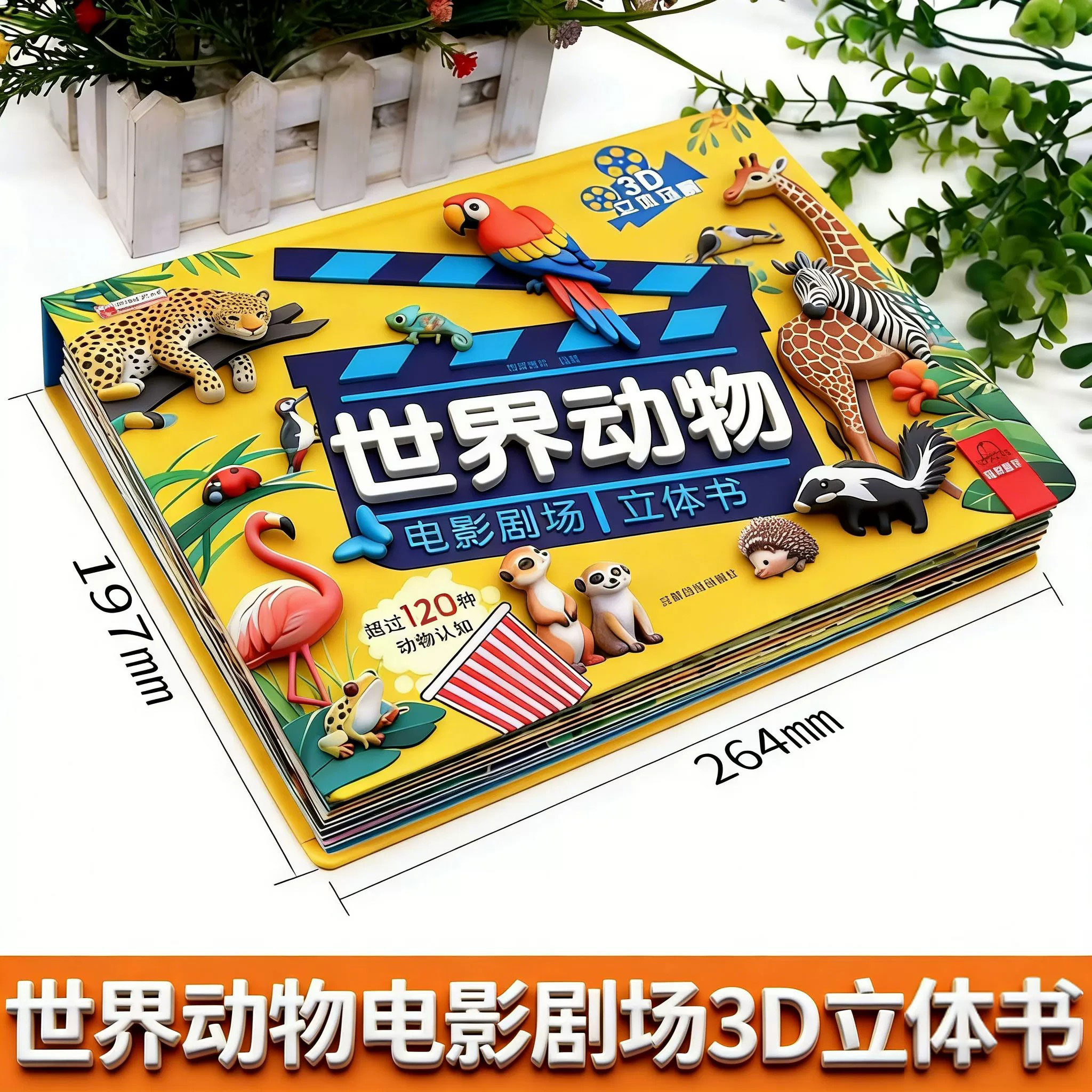 图5