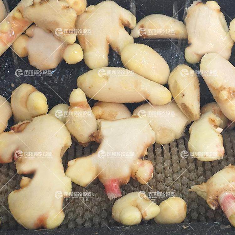 工厂直营土豆清洗去皮机根茎类果蔬毛刷脱皮机洋芋脱皮机,淘宝优惠券,粉丝福利购,淘宝优惠卷