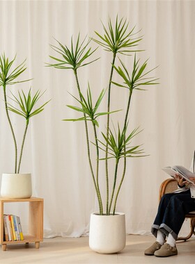 仿真绿色植物仿生龙舌兰龙蛇树植物盆栽假树室内盆景