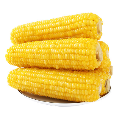 农投2026头茬黄糯玉米10棒真空装