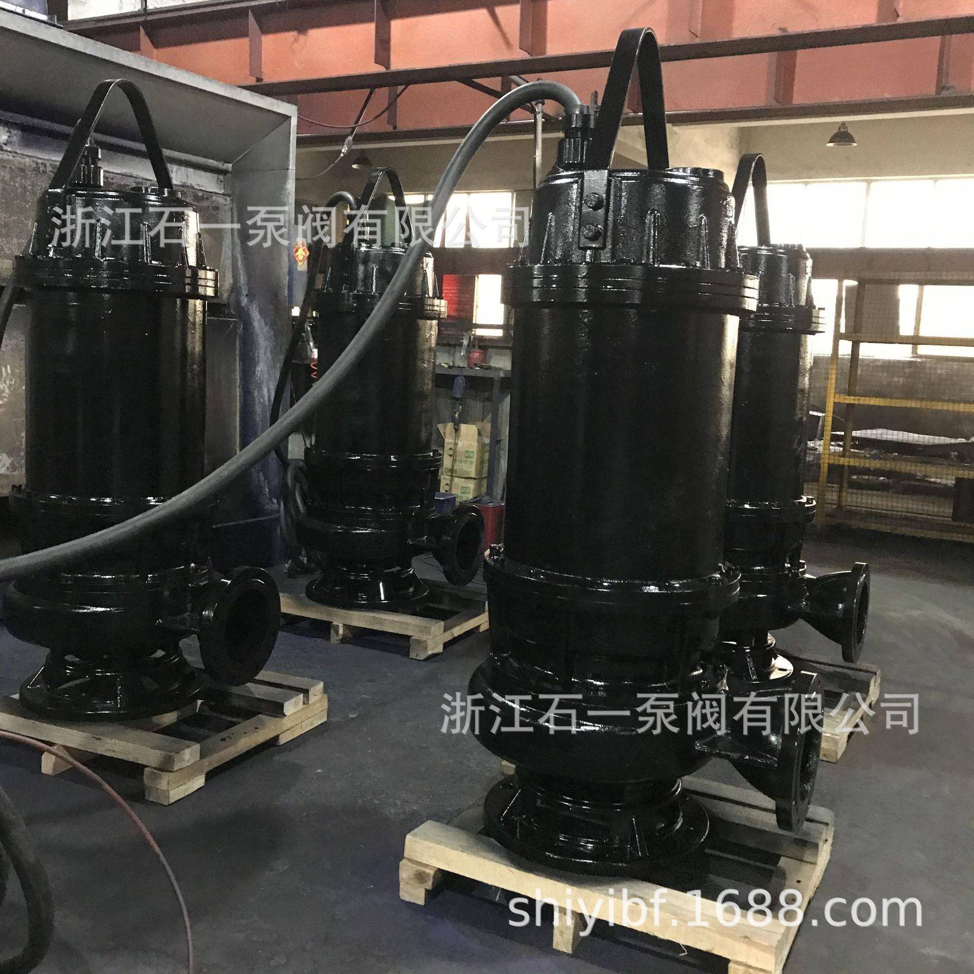 厂家直销潜水排污泵大口径污水排水泵500WQ无堵塞大功率排污泵 - 图2
