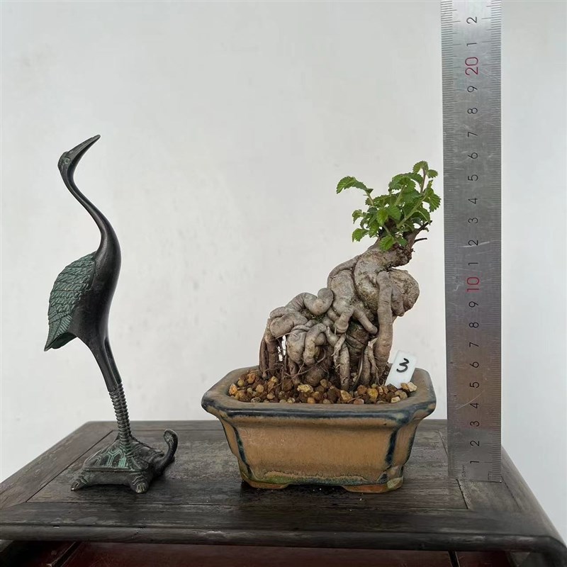 图2