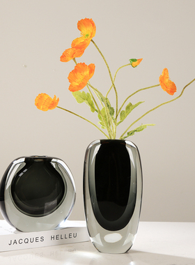 创意特厚玻璃琉璃花瓶可水培客厅样板间餐桌玄关插花花器轻奢摆件