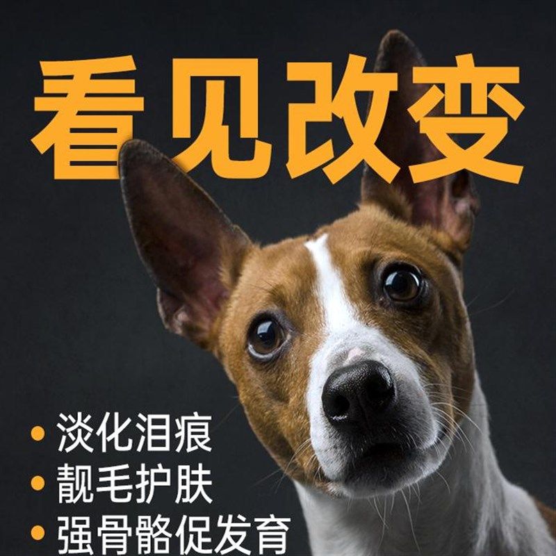 狗狗零食火腿肠小型犬宠物零食磨牙棒零食低盐香肠专用整箱10包装,淘宝优惠券,粉丝福利购,淘宝优惠卷