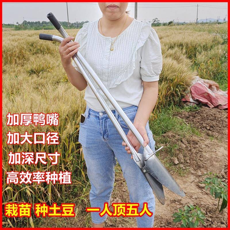 栽苗神器农用种土豆芋头工具辣椒西瓜打孔打眼移栽机育苗盘移苗器 - 图1