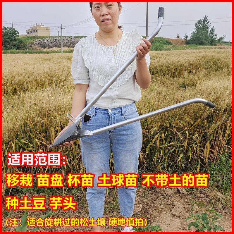 栽苗神器农用种土豆芋头工具辣椒西瓜打孔打眼移栽机育苗盘移苗器 - 图0