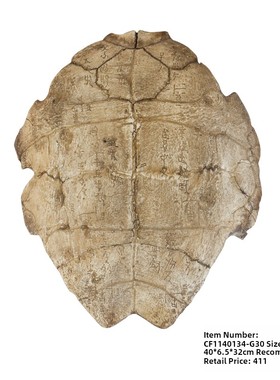 树脂模拟化石甲骨文龟壳饰品咖啡厅酒吧墙挂墙软装饰教学道具