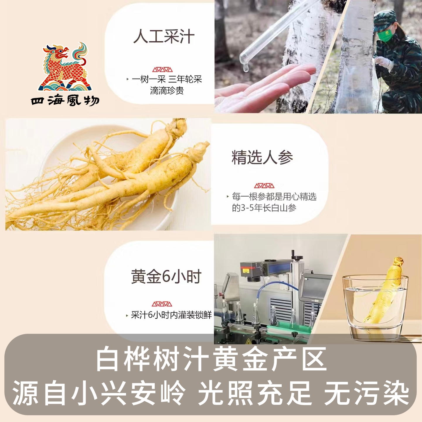 年货节四海风物整棵人参白桦树汁源头工厂原液直发植物饮料健康