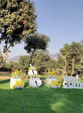 创意花园庭院草坪装饰雕塑铁艺大提琴花架花箱售楼部景观落地