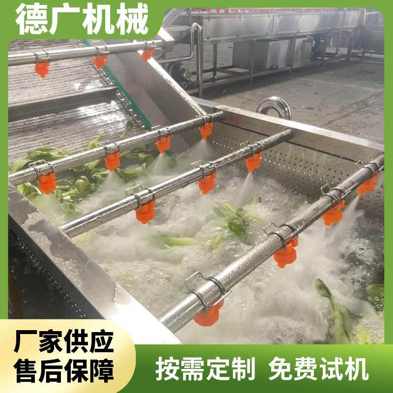 蔬菜气泡清洗机全自动辣椒枸杞橘子果蔬清洗机净菜加工设备,淘宝优惠券,粉丝福利购,淘宝优惠卷